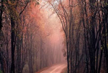 东升国际：斯诺克排名赛冠军次数排名：火箭41次居首，罗伯.