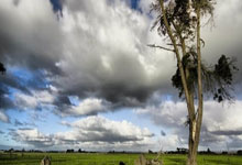 东升国际：勇士遭重创！小佩顿拇指韧带撕裂无限期缺阵 一周后接受重新评估.