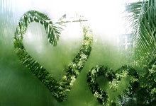 东升国际：又一波三连败后，谈谈国足的“上限”和“未来”在哪里.